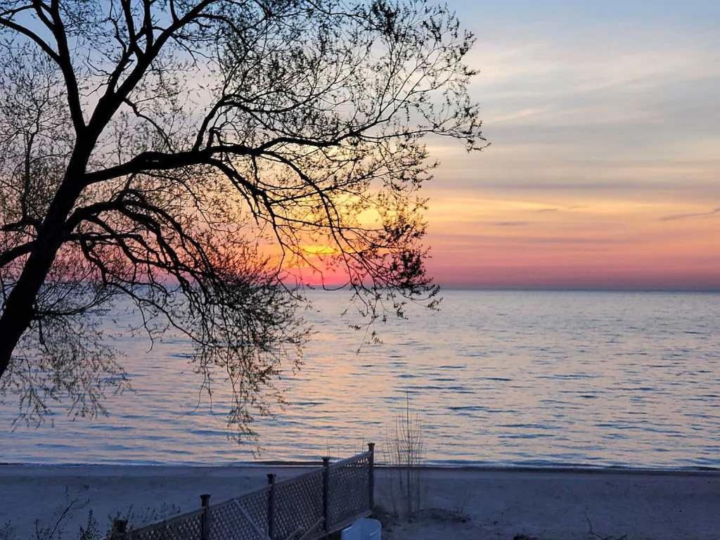 Вилла Ainsley'S Cove Carsonville Экстерьер фото